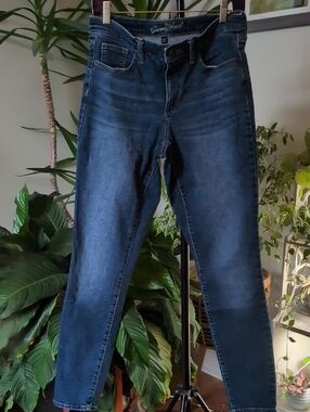 Universal Thread Indigo Blue High-Rise Skinny Jeans